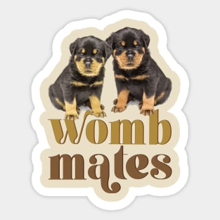 Rottweiler puppies - womb mates Rottweiler dog mom Sticker